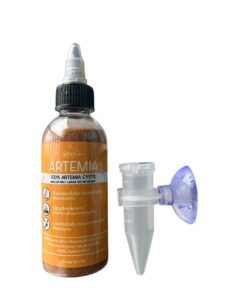 Sterilized Artemia Cysts Peeled
