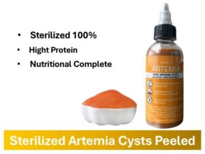 Sterilized Artemia Cysts Peeled