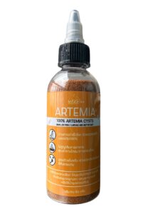 Sterilized Artemia Cysts Peeled